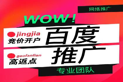 成功运用SEM服务实现品牌快速成长的案例